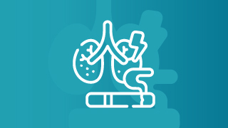 2026 Efectos del tabaco sobre la salud Image