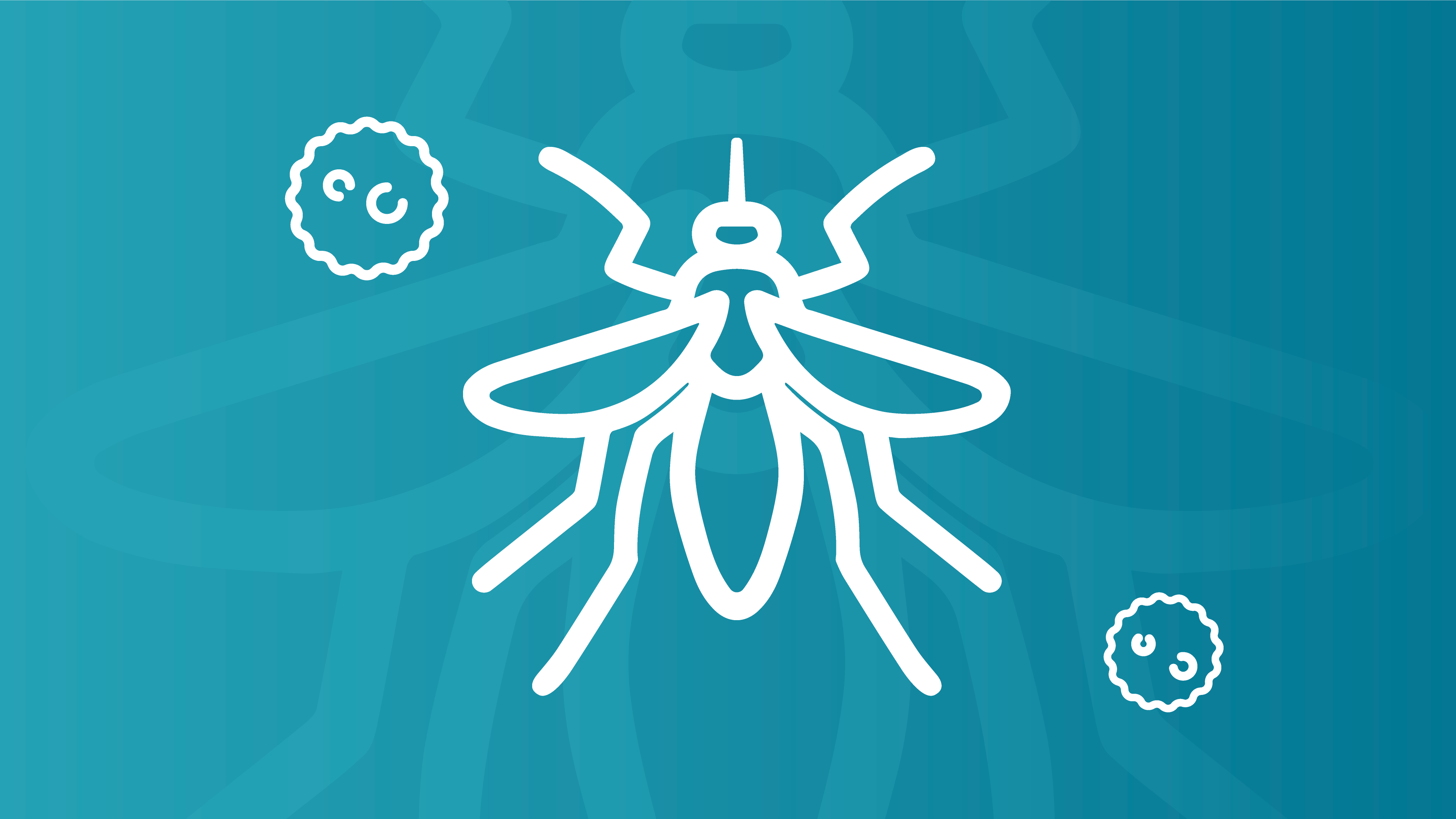 Dengue, Zika y Chikungunya Image